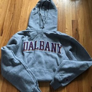 Ualbany hoodie